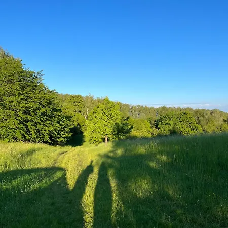 Lesna Ostoja Nyaraló Radowo Male